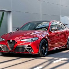 Двигатель Alfa Romeo AR34102