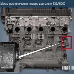 Двигатель Alfa Romeo 839A6000