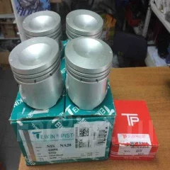 Двигатель NA20S