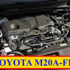 Двигатель M20C-FKS