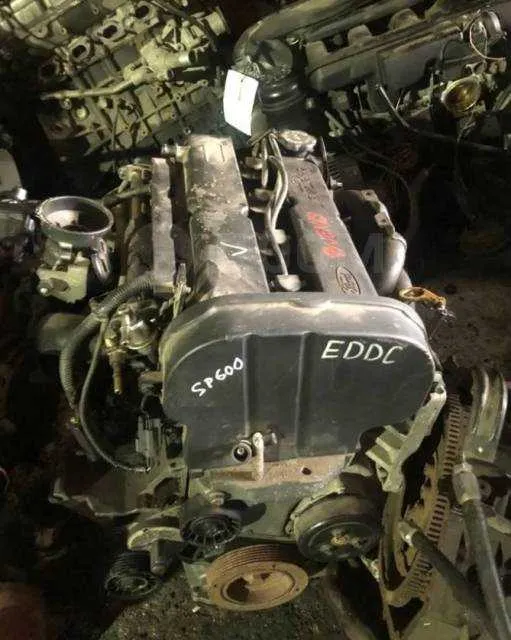Ford EDDC