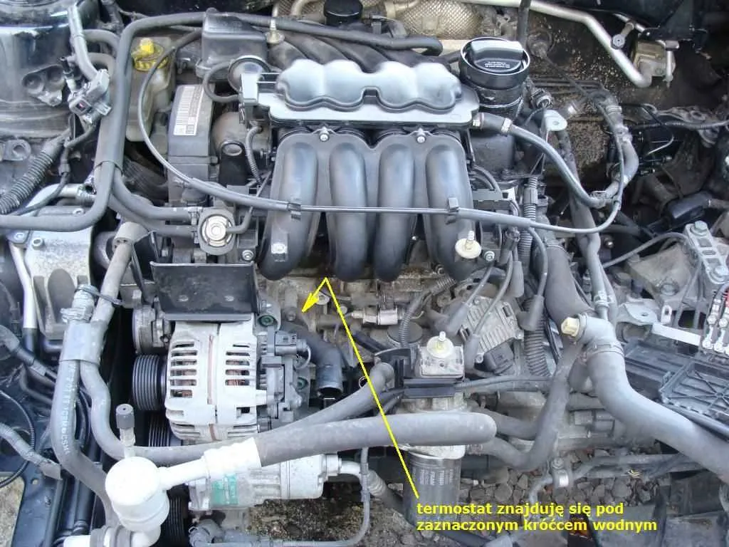 Volkswagen APF